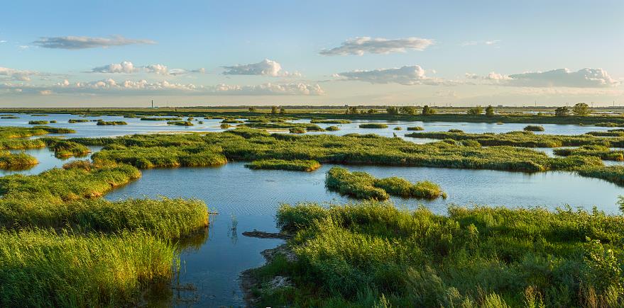 環(huán)境領(lǐng)域解決方案